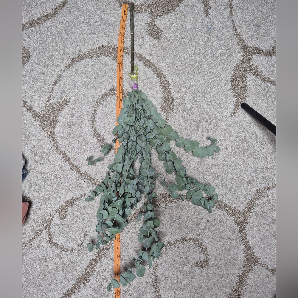 BIG BERTHA 36" Eucalyptus Besom Broom - Picture 6 of 7